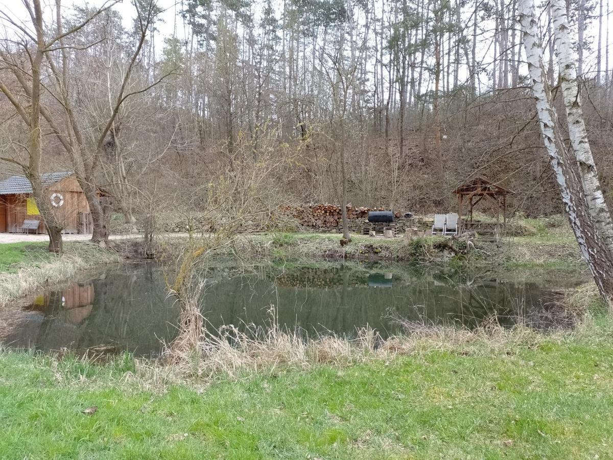Penzion Litohlavy 17 - Na Samote U Lesa Králŭv Dvŭr Exteriér fotografie