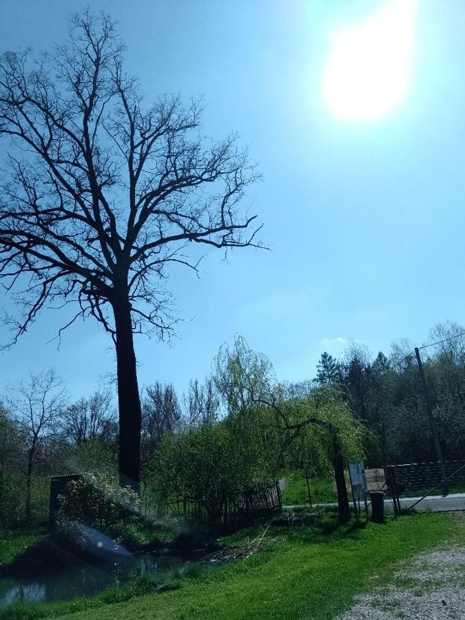 Penzion Litohlavy 17 - Na Samote U Lesa Králŭv Dvŭr Exteriér fotografie
