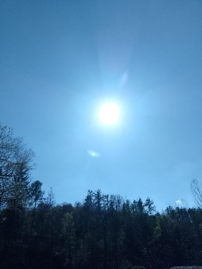 Penzion Litohlavy 17 - Na Samote U Lesa Králŭv Dvŭr Exteriér fotografie
