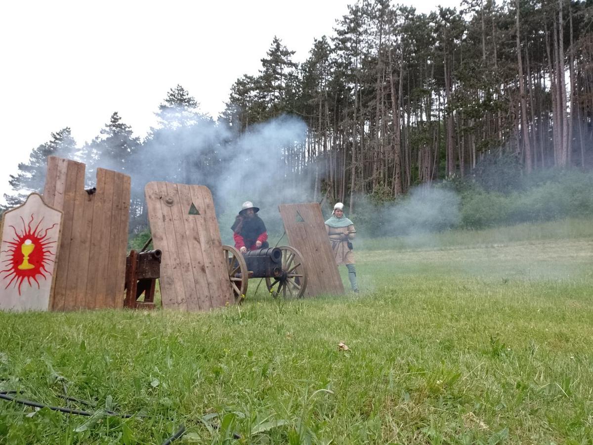 Penzion Litohlavy 17 - Na Samote U Lesa Králŭv Dvŭr Exteriér fotografie